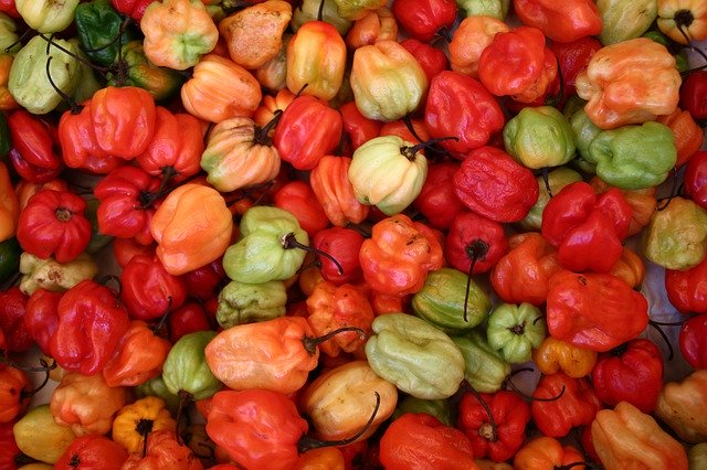 Скачать бесплатно Chili Peppers Vegetables - бесплатное фото или изображение для редактирования с помощью онлайн-редактора изображений GIMP