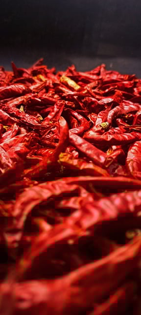 Free download chilli red food red chilli spice free picture to be edited with GIMP free online image editor