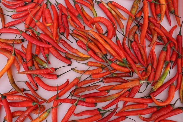 무료 다운로드 Chilli Red Spicy - 무료 사진 또는 김프 온라인 이미지 편집기로 편집할 수 있는 사진