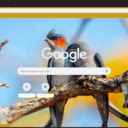 Chim  screen for extension Chrome web store in OffiDocs Chromium