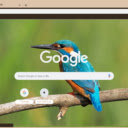 Chim Bo Teo  screen for extension Chrome web store in OffiDocs Chromium