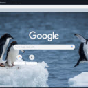 Chim Canh Cut  screen for extension Chrome web store in OffiDocs Chromium