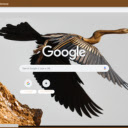 Chim cao co  screen for extension Chrome web store in OffiDocs Chromium