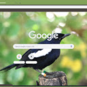 Chim Chich Choe  screen for extension Chrome web store in OffiDocs Chromium
