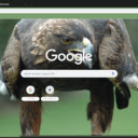 Chim dai bang vang  screen for extension Chrome web store in OffiDocs Chromium