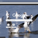 Chim Hai Au  screen for extension Chrome web store in OffiDocs Chromium