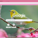 Chim hot  screen for extension Chrome web store in OffiDocs Chromium