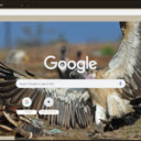 Chim Ken Ken  screen for extension Chrome web store in OffiDocs Chromium
