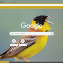 Chim Nheo  screen for extension Chrome web store in OffiDocs Chromium