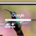 Chim Ruoi  screen for extension Chrome web store in OffiDocs Chromium