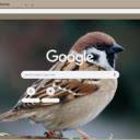 Chim Se  screen for extension Chrome web store in OffiDocs Chromium