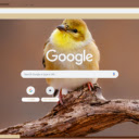 Chim Se Vang  screen for extension Chrome web store in OffiDocs Chromium