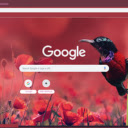 Chim Tuc  screen for extension Chrome web store in OffiDocs Chromium