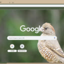 Chim Ung Dau Do  screen for extension Chrome web store in OffiDocs Chromium