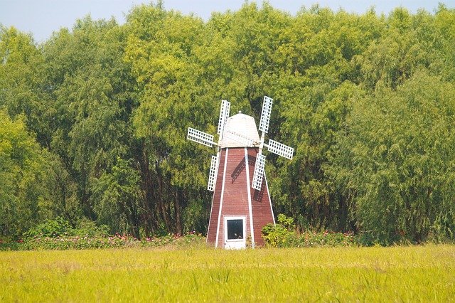 Download gratuito China Taihu Lake Wetlands - foto o immagine gratuita da modificare con l'editor di immagini online GIMP