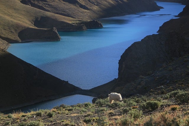 Free download china tibet mountain peak river free picture to be edited with GIMP free online image editor