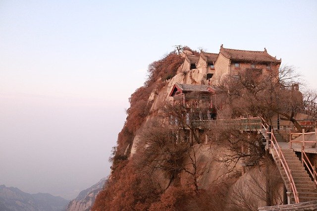 Скачать бесплатно China XiAn Pinus - бесплатное фото или изображение для редактирования с помощью онлайн-редактора изображений GIMP