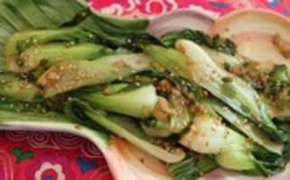 Free download Chinese Bok Choy free photo or picture to be edited with GIMP online image editor
