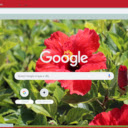 Chinese Hibiscus  screen for extension Chrome web store in OffiDocs Chromium