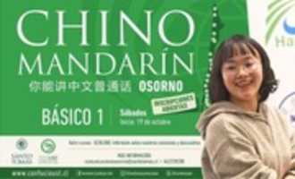Free download Chino Mandarin 300px free photo or picture to be edited with GIMP online image editor