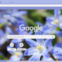 Chionodoxa  screen for extension Chrome web store in OffiDocs Chromium
