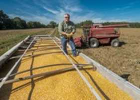 Free download Chip Bowling, First Vice President of the National Corn Growers Association, on his farm in Newburg, Maryland free photo or picture to be edited with GIMP online image editor