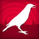 Chirp Radio Desktop Notifications  screen for extension Chrome web store in OffiDocs Chromium