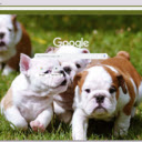 Cho  screen for extension Chrome web store in OffiDocs Chromium