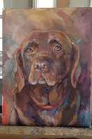 Free download CHOCOLATE LAB-ANN TREBOUX free photo or picture to be edited with GIMP online image editor