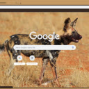 Cho Hoang  screen for extension Chrome web store in OffiDocs Chromium