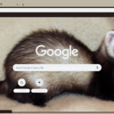 Chon  screen for extension Chrome web store in OffiDocs Chromium