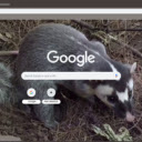 Chon bac ma  screen for extension Chrome web store in OffiDocs Chromium