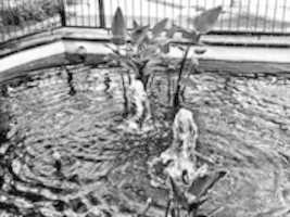 Free download Chorros. free photo or picture to be edited with GIMP online image editor