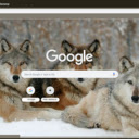 Cho soi  screen for extension Chrome web store in OffiDocs Chromium