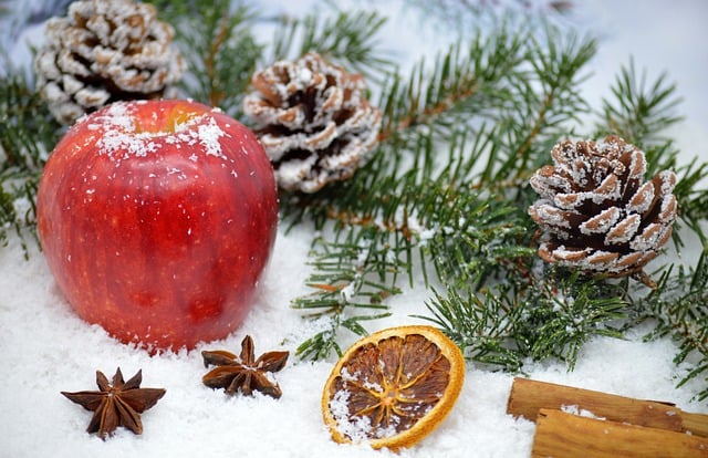 Free download christmas advent red apple pinecone free picture to be edited with GIMP free online image editor