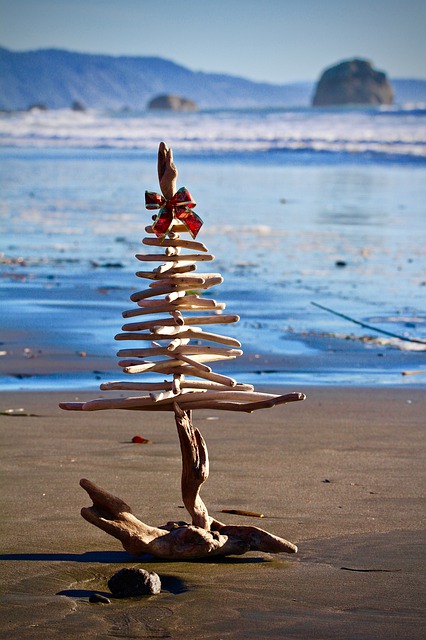 無料ダウンロードクリスマスビーチ海の休日空無料画像をGIMP無料オンライン画像エディタで編集する