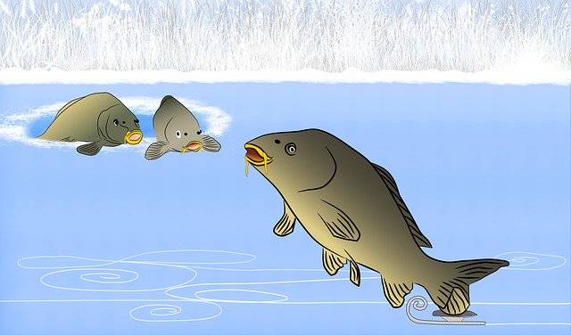 Gratis download Christmas Carp Fish - gratis illustratie om te bewerken met GIMP gratis online afbeeldingseditor