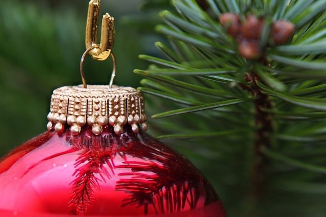 Безкоштовно завантажте різдвяні прикраси різдвяні прикраси голка безкоштовне зображення для редагування за допомогою безкоштовного онлайн-редактора зображень GIMP
