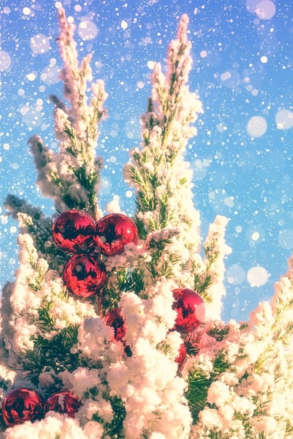 Free download christmas christmas time snow tree free picture to be edited with GIMP free online image editor