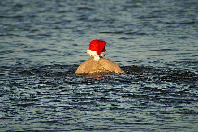 Download gratuito di un modello di foto gratis Christmas Costume Water da modificare con l'editor di immagini online di GIMP