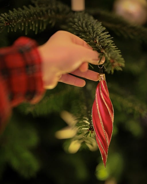 Scarica gratuitamente l'immagine gratuita di decorazioni natalizie per le vacanze invernali da modificare con l'editor di immagini online gratuito GIMP