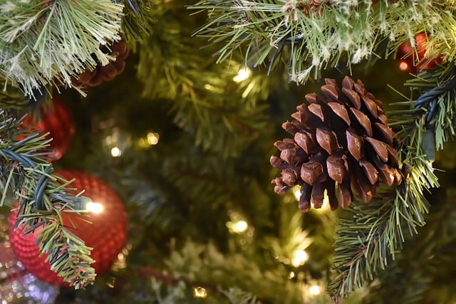 Free download christmas decorations pine cone free picture to be edited with GIMP free online image editor