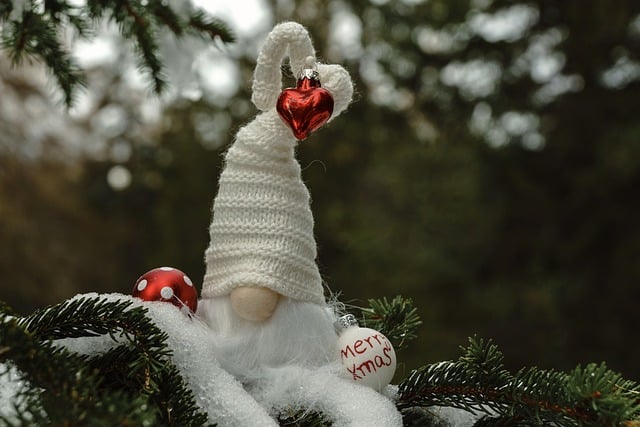 Bezpłatne pobieranie świątecznego elfa chochlika świąteczna zima darmowe zdjęcie do edycji za pomocą darmowego internetowego edytora obrazów GIMP