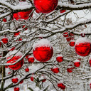 Christmas everywhere is red  screen for extension Chrome web store in OffiDocs Chromium