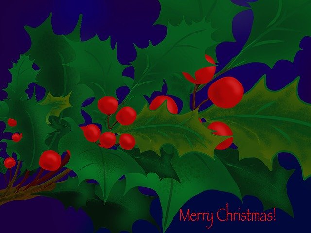 Free download Christmas Holly Painting -  free illustration to be edited with GIMP free online image editor