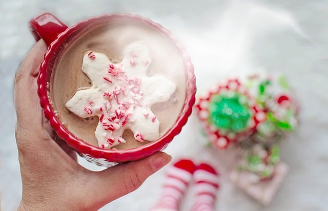Free download christmas hot chocolate hot cocoa free picture to be edited with GIMP free online image editor