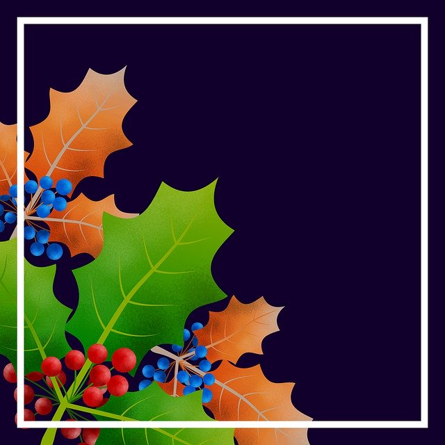 Free download Christmas Illustration Holly -  free illustration to be edited with GIMP free online image editor