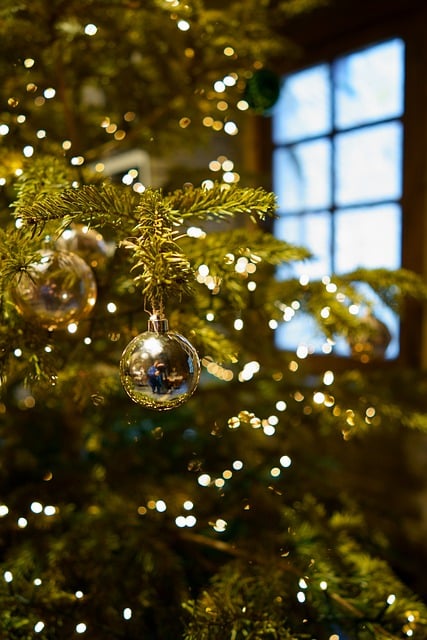 Kostenloser Download Christmas Interior Toy Fichte kostenloses Bild, das mit dem kostenlosen Online-Bildeditor GIMP bearbeitet werden kann