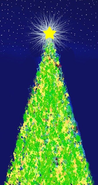 Free download Christmas Poinsettia Corona -  free illustration to be edited with GIMP free online image editor