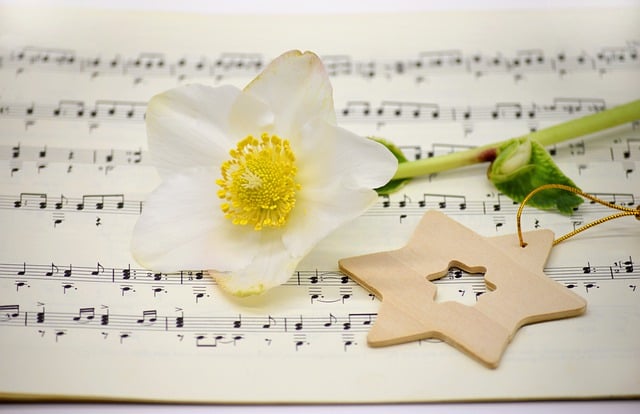 免费下载 christmas rose sheet music leaves free picture to be edited with GIMP 免费在线图像编辑器